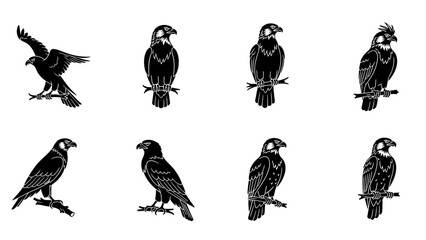 Elegant silhouettes of birds of prey: vector graphic with eagles and hawks variations