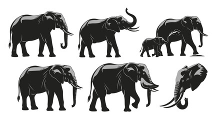 Illustration of a Group of Elephants in Various Poses on a White Background