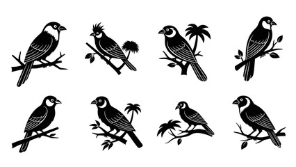 Elegant silhouette collection of diverse bird species perched on branches in black and white