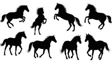 Diverse silhouettes of horses in dynamic poses against a stark white backdrop