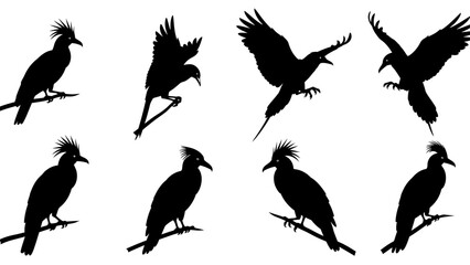 Naklejka premium Elegant silhouette illustration of multiple bird species in various poses on a white background