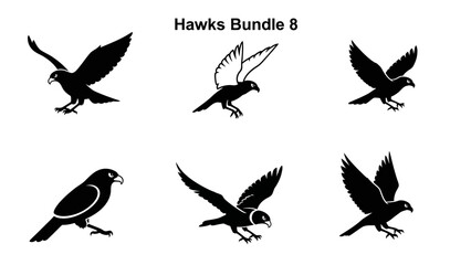 Vector graphics collection of hawks in various poses ideal for logo design or illustrations