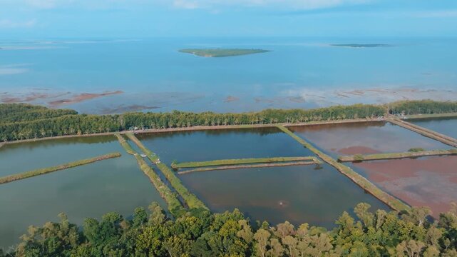 Aerial View Aquaculture Fish Ponds and Shrimp Farms in Puerto Princesa, Palawan
rectangular brackish water ponds used for farming Milkfish (Bangus) or shrimp.