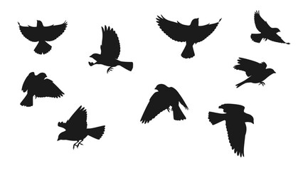 Naklejka premium Silhouette of Birds in Flight: A Dynamic Vector Illustration for Nature and Freedom Concepts