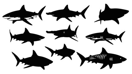 Shark silhouettes collection depicting various species in dynamic poses on white backdrop