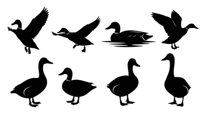Elegant silhouette collection depicting various poses and actions of ducks in vector format