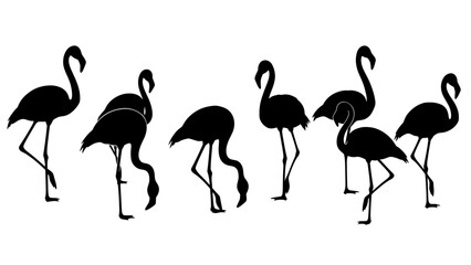 Elegant Flamingo Flock Silhouettes Against White Backdrop for Artistic Flair