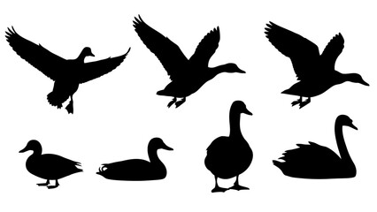 Elegant silhouettes of ducks and swans in varied poses against a white background