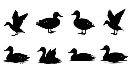 Elegant Black Duck Silhouettes: A Versatile Collection for Graphic Design and Illustration projects