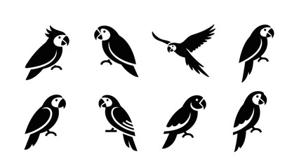 Elegant collection of vector parrots featuring diverse poses and minimalistic design