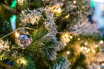 Christmas ball decorate on pine tree branch at night merry christmas