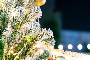 Christmas ball decorate on pine tree branch sunset sky night light merry christmas