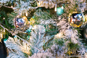 Christmas ball decorate on pine tree branch at night merry christmas
