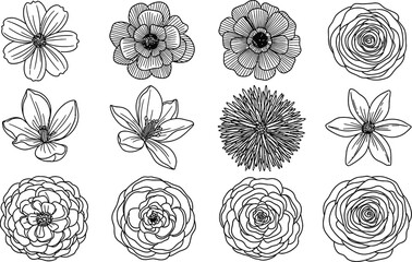 Hand drawn floral and abstract shapes in black and white