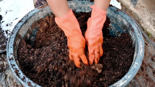 Hands in gloves holding abundance soil for agriculture or preparing to plant. Man holding soil that is suitable for growing plants and accelerates plant growth.