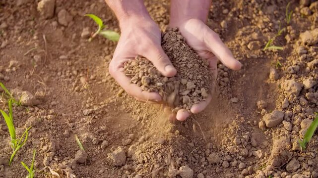 Hands of Expert farmer hold soil from ground to examining soil quality. Soil fertility analysis as agricultural activity. Environment Earth Day. Save planet and earth life concept.