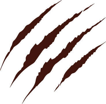 Four brown claw marks on a white background animal claws