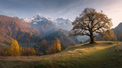 Autumnal Mountain Landscape With Tree And Snow Capped Peaks Under A Cloudy Sky