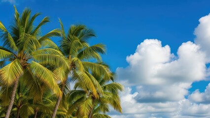 Lush green palm trees sway gently under a vibrant blue sky dotted with fluffy white clouds, creating a serene tropical backdrop perfect for a dream vacation