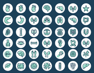 human body health vector icon set website