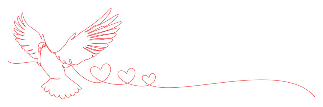 dove as a symbol of love and affection with vector line art style 6.eps