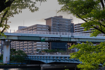 Obraz premium 団地と幹線道路の上を跨ぐ橋の都市景観