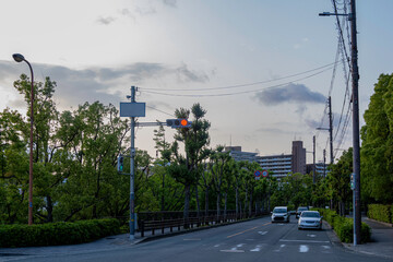 緑に囲まれた道路と交通信号の都市の風景