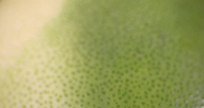 beautiful yellow and green citrus peel, details of grapefruit peel with multicolored peel with yellow and green shades