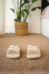 Comfortable slippers placed on cozy floor mat near plant