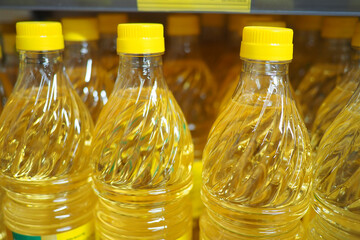 Cooking oil bottles lined up on a supermarket shelf