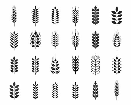 Collection of various wheat and grain stalk icons