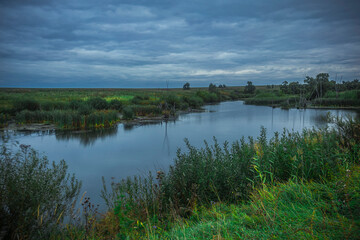 Summer lake in the wild