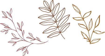 set of autumn leaves isolated on white