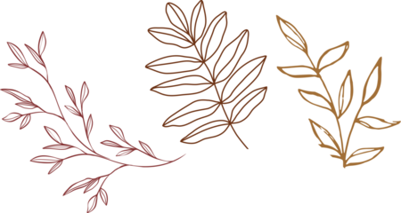 set of autumn leaves isolated on white