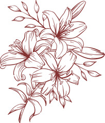 vector illustration of a flower