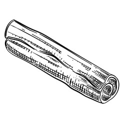 Fototapeta premium Cinnamon vector line art hand drawn illustration