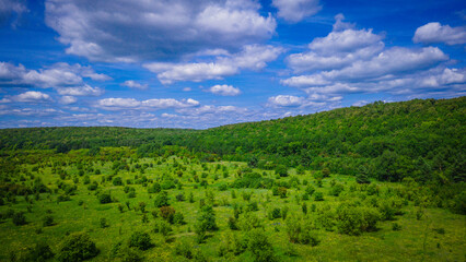 Aerial photo of green wildlife in summer