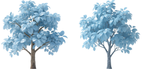 木　植物　自然　水色