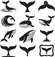 Whale Vector Silhouette Collection Aquatic Mammal Icons and Design Elements