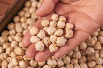 Hand Holding Raw Dried Chickpeas Beans for Cooking - Natural Legume Food Ingredient