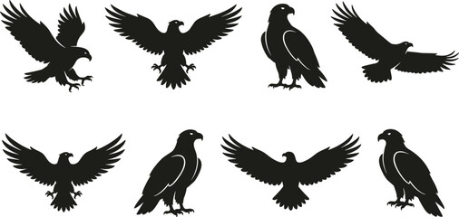 Black Silhouettes of Eagles in Flight, Perched, and Swooping Poses for Wildlife, Nature, Emblem, and Graphic Design Projects