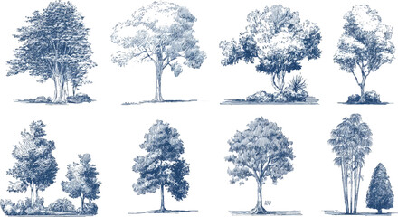 Collection of eight blue ink sketch style trees with detailed foliage and trunks on white background