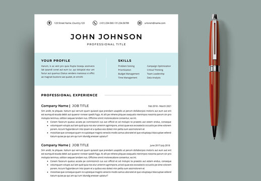 CV Resume Layout