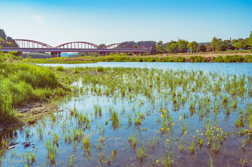 茨城　春の那珂川大橋（城里町）