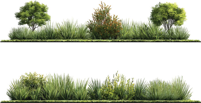 Two rows of green grass trees and bushes with orange berries on white background nature