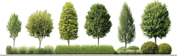 Fototapeta premium Collection of diverse green trees and shrubs with grass and curb on white background nature plant