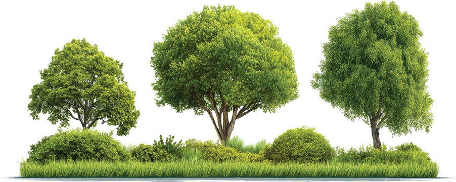 Three lush green trees and dense foliage with grass in a natural outdoor setting nature