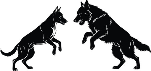 Aggressive Dogs or Canines Rearing Up in Fight Stance, Black and White Detailed Vector Silhouette Illustration of Tension and Conflict for CAD Drawing and Flat Design.