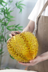 Fresh Golden Durian Fruit with Spiky Shell Held in Hands - Thai Tropical Exotic Fruit