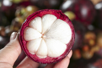 Fresh Mangosteen Fruit from Thailand Cut Open Showing White Segments in Purple Rind